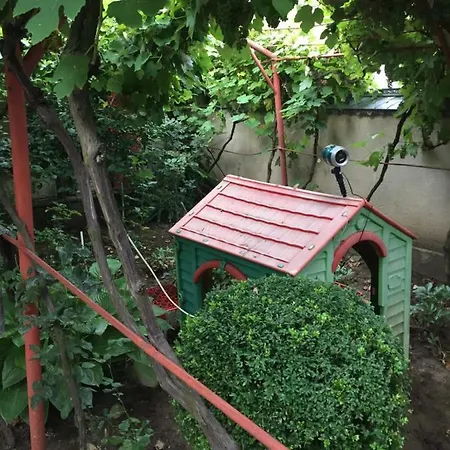 Amalia House بيت ضيافة *