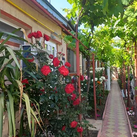 Amalia House مانغاليا